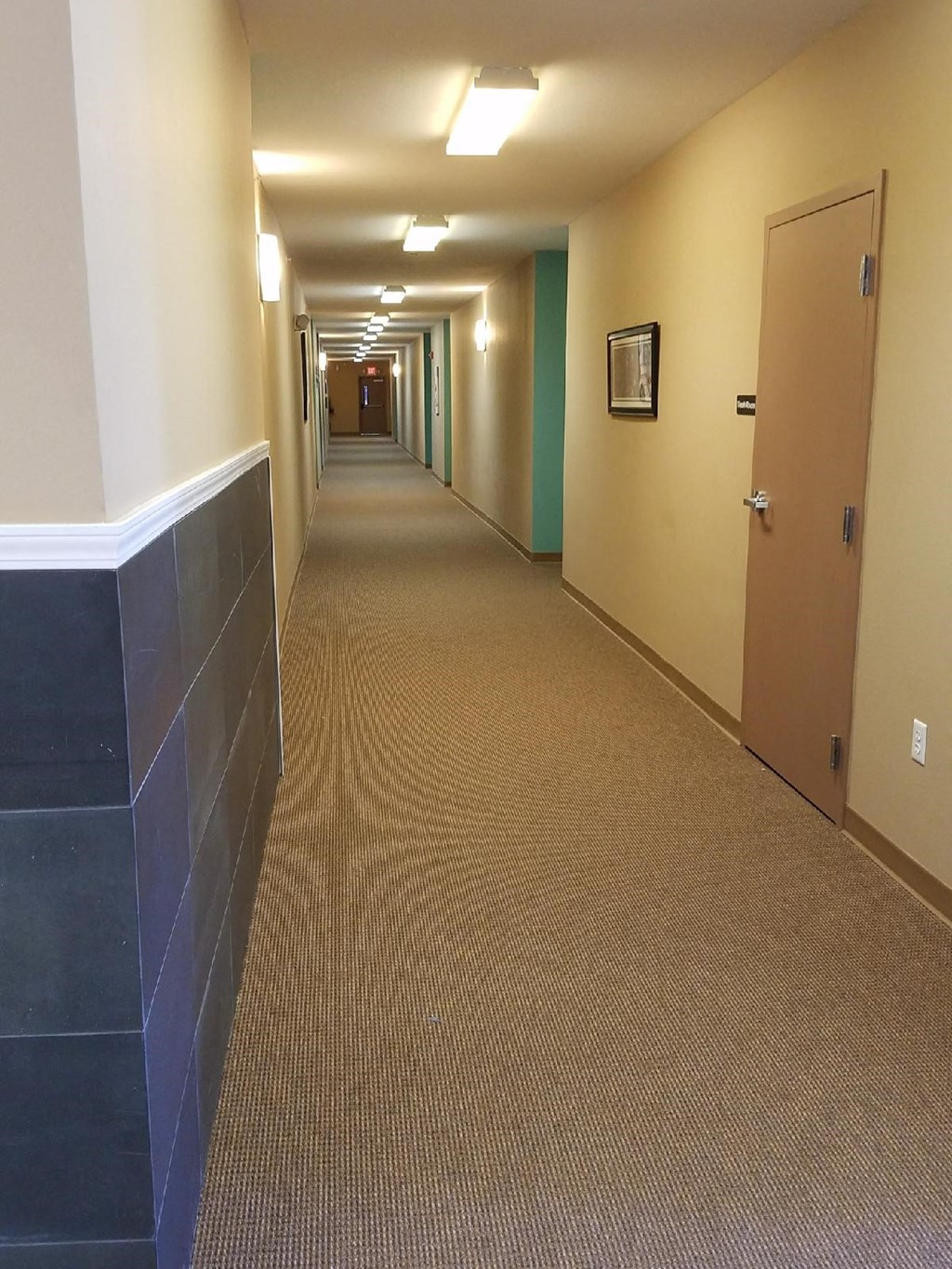 a hallway in a building with a carpeted floor and doors