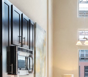 Penthouse The Battery on Blake Street Two-story penthouses - Apartments for Rent in Downtown Denver - Photo Gallery 6