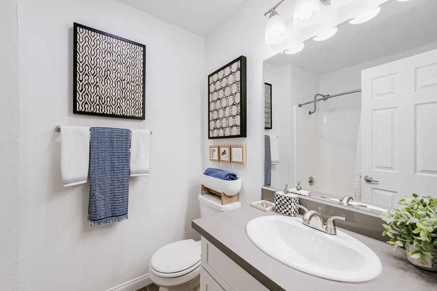 a bathroom with a sink and a toilet and a mirror
