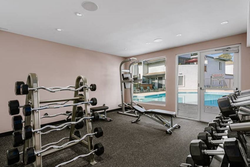 a gym with weights and a swimming pool