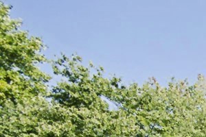 555 Mansell Apartments 555 Eaglescrest Village Lane