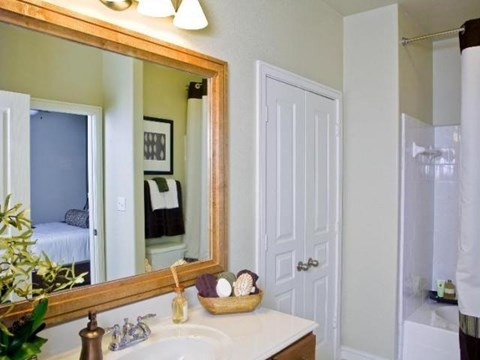 a bathroom with a large mirror and a sink