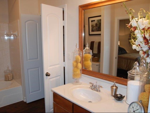 a bathroom with a white sink and a mirror