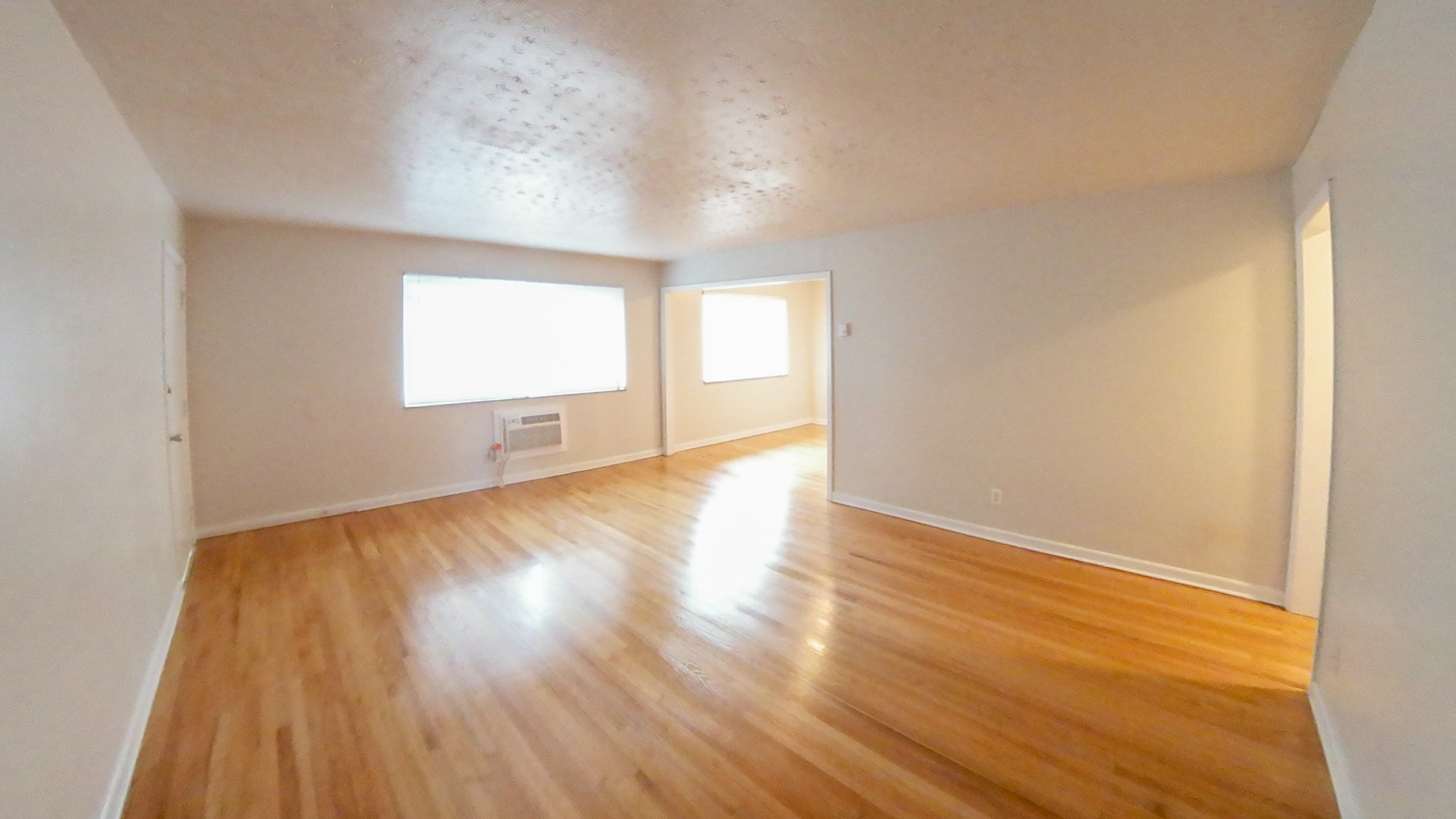 The Hive On Highland