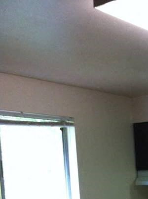 725 Terra Studio-2 Beds Apartment for Rent - Photo Gallery 3