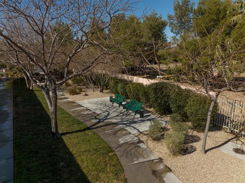 a park with benches and a path and trees