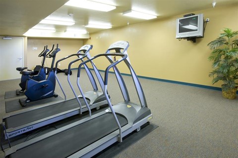 a group of exercise equipment in a gym