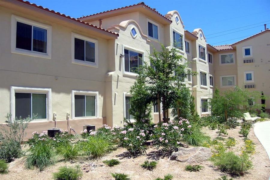 a row of houses with a garden in front of them