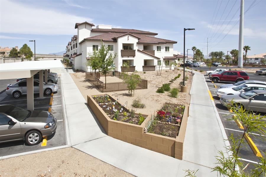 a view of a yard with plants and cars in a parking lot
