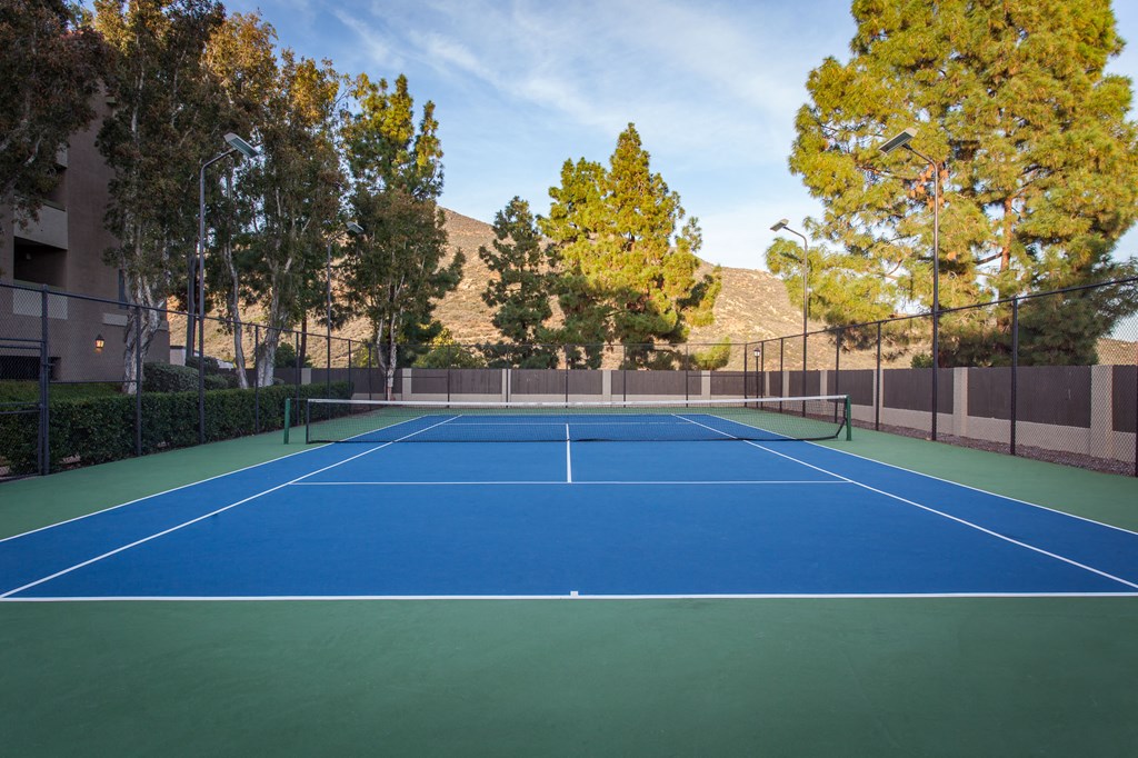Tennis court