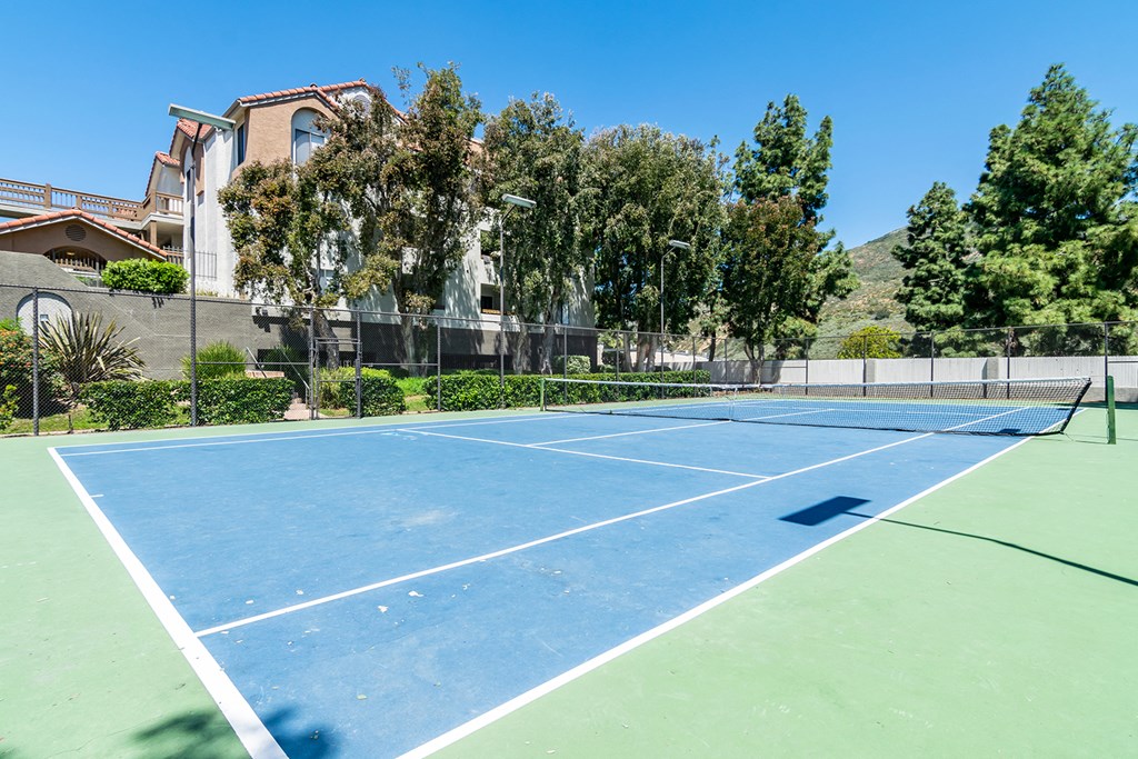 Tennis court