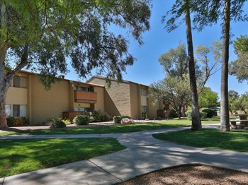 Harrison East South Apartments For Rent - Tucson Az Rentcafe