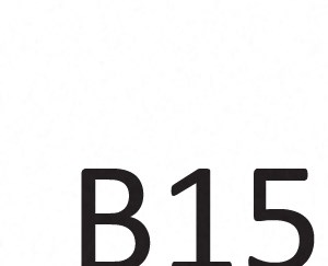 B-15 B-15
