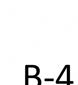 B-4 B-4
