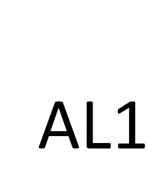al1 AL1