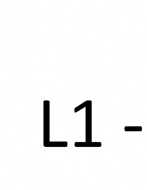 l1 L1