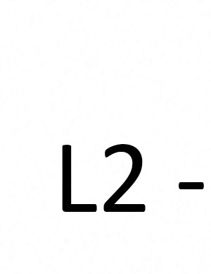 l2 L2