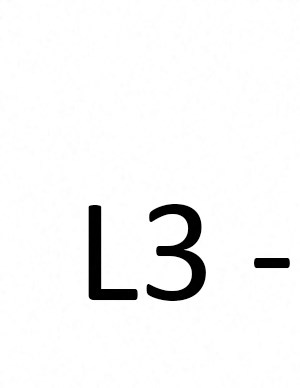 l3 L3