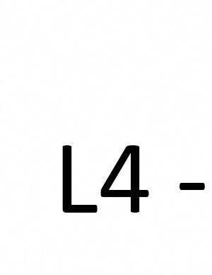 l4 L4
