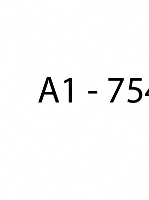 A1 A1