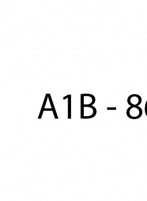 A1B A1B