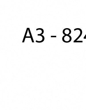 A3 A3