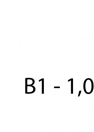 B1 B1
