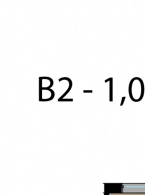 B2 B2
