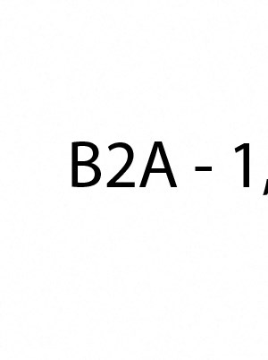 B2A B2A