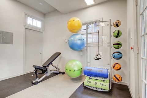 Gym 1