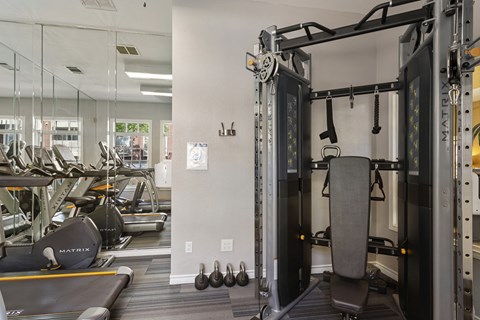 Gym 1