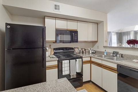 Model Kitchen 1