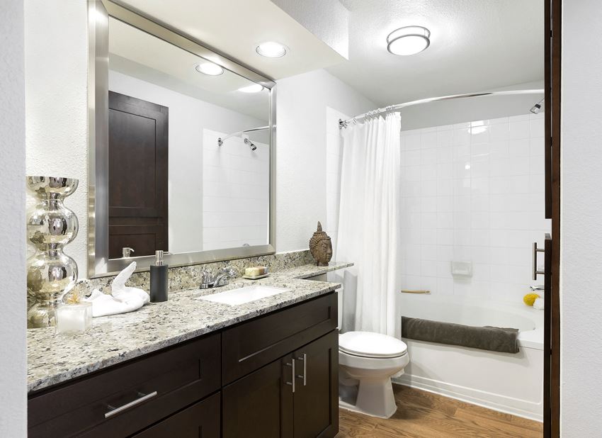 Model Bathroom