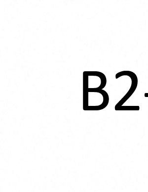 B2 B2