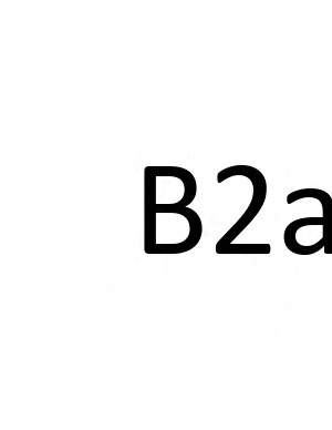 B2A B2A