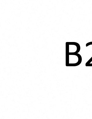 B2B B2B