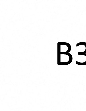 B3 B3