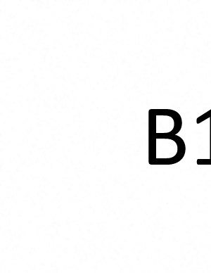 B1 B1