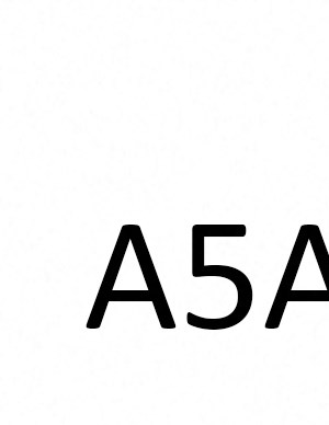 A5A A5A