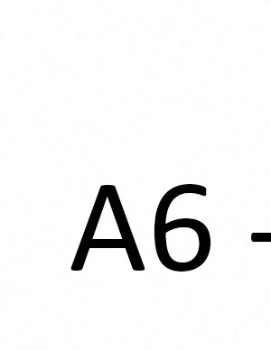 A6 A6