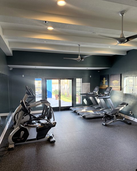 A gym with treadmills and elliptical machines.
