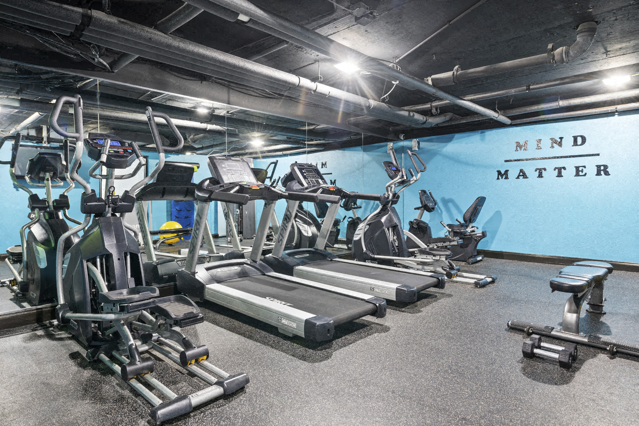 the gym is equipped with state of the art cardio equipment and weights