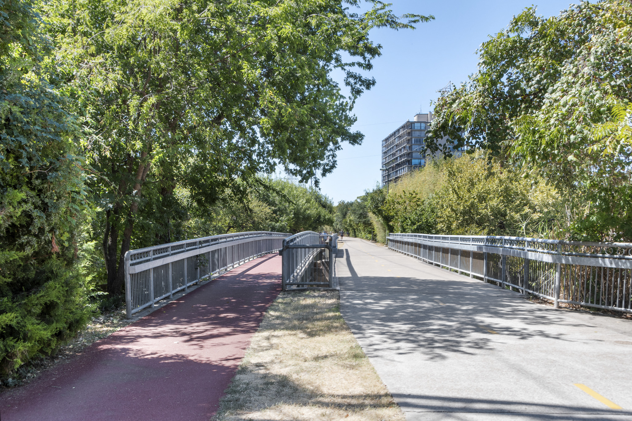 a bridge over a road in a park with trees