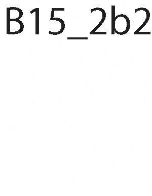 b15r b15r