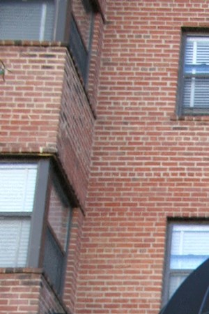Exterior of Apartments 215 C Street, SE Studio-1 Bed Apartment for Rent - Photo Gallery 5