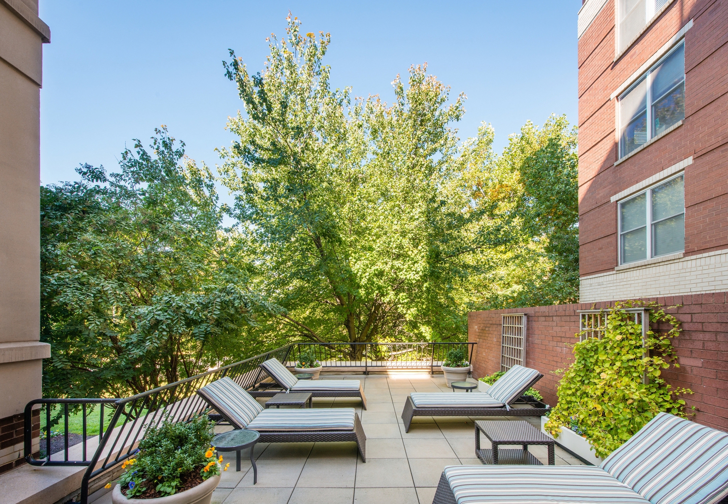 a patio with couches and chairs and trees in the background