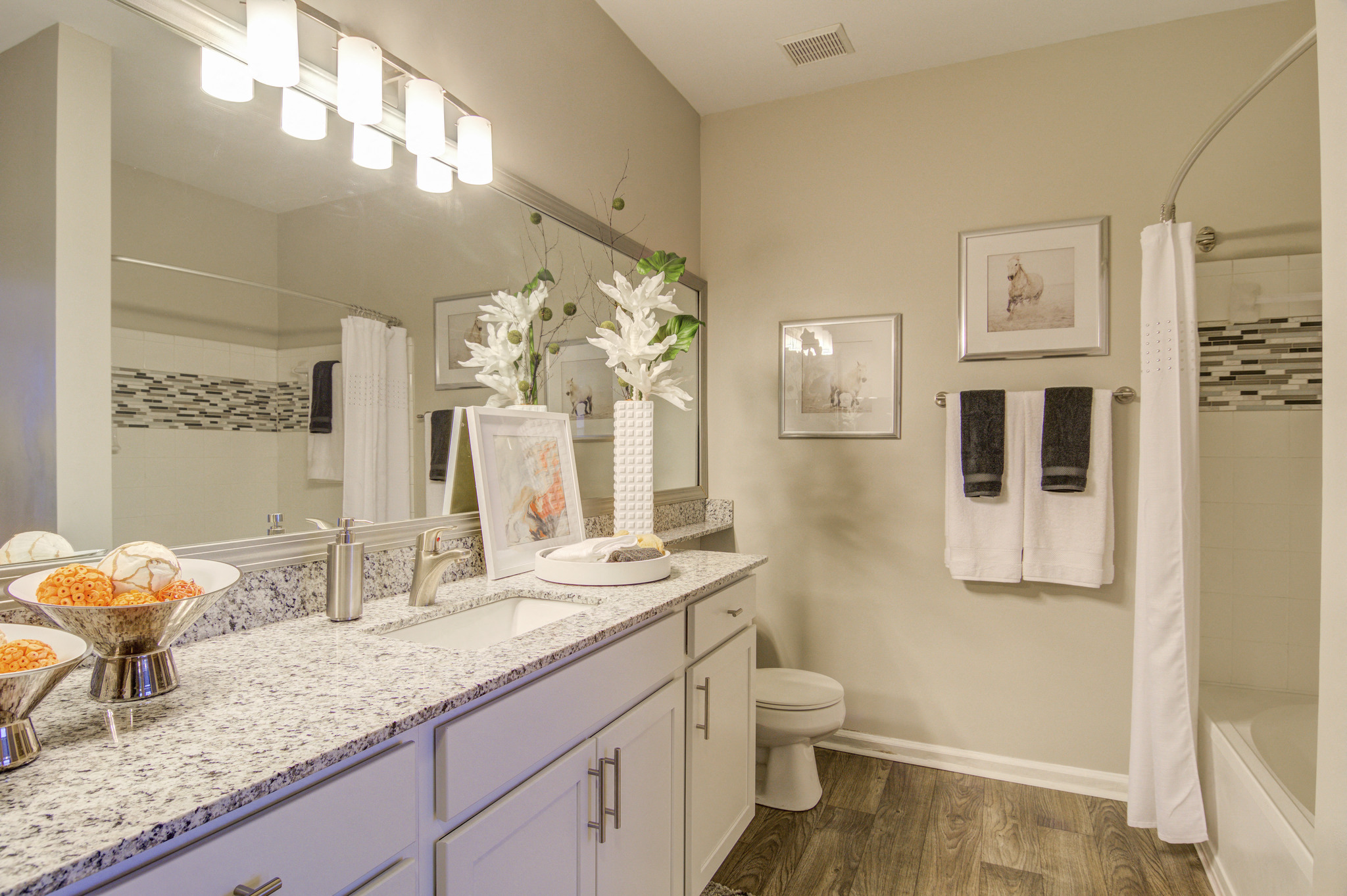 a bathroom with a sink and a toilet and a mirror