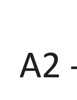 A2 A2