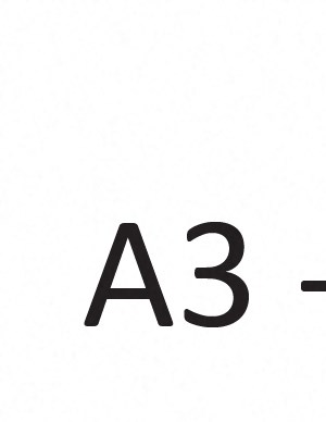 A3 A3