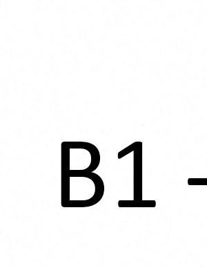 B1 B1